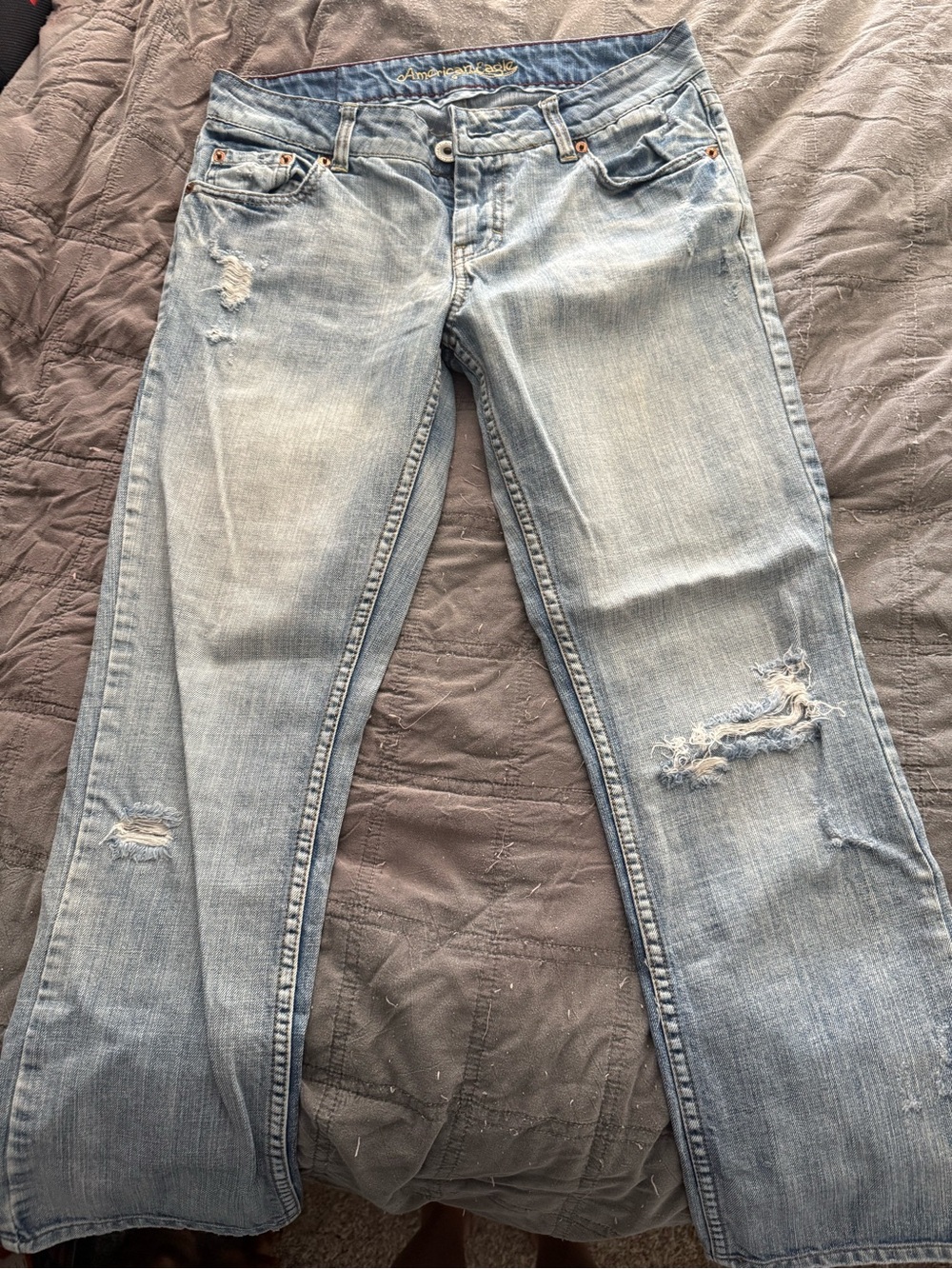 American Eagle Outfitters Light Blue Distressed Ankle Jeans